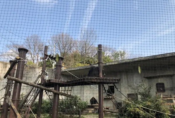 東山動物園の写真・動画_image_207009