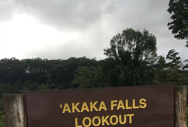 アカカ滝の写真・動画_image_208452
