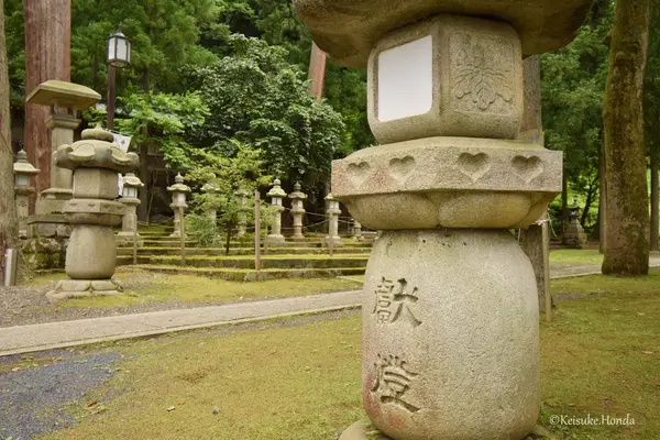 紙祖神岡太神社・大滝神社の写真・動画_image_208701