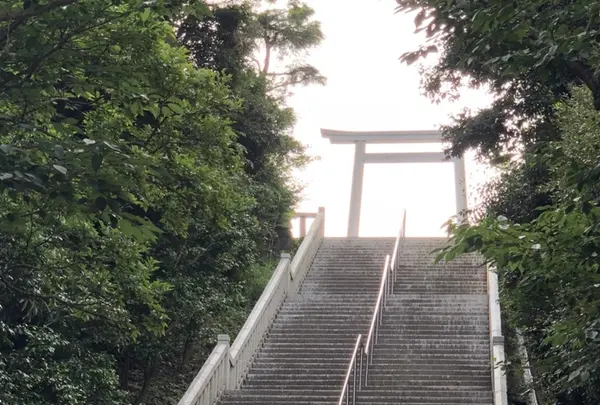 大洗磯前神社 神磯の鳥居の写真・動画_image_209170