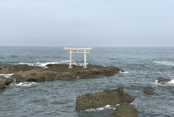 大洗磯前神社 神磯の鳥居の写真・動画_image_209171