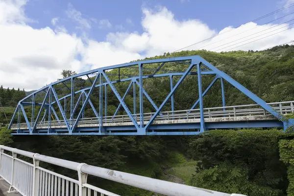 音海側道橋の写真・動画_image_210169