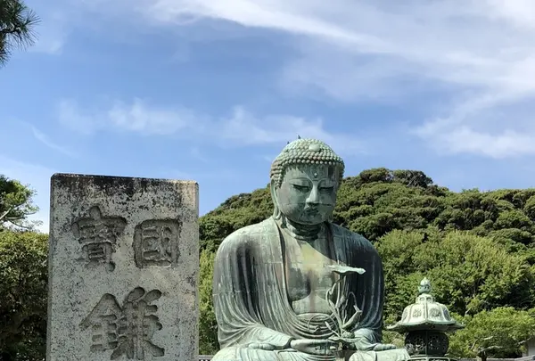 鎌倉大仏（高徳院）の写真・動画_image_210201