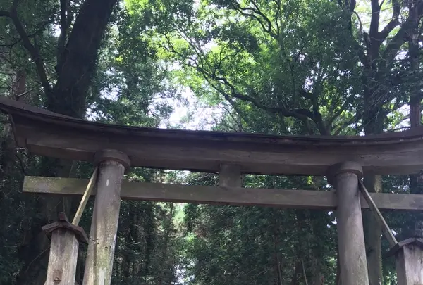 亀岡八幡宮の写真・動画_image_210432