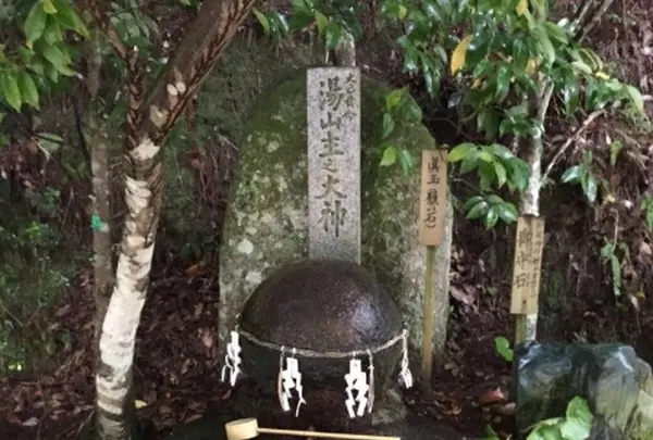 玉作湯神社の写真・動画_image_211577