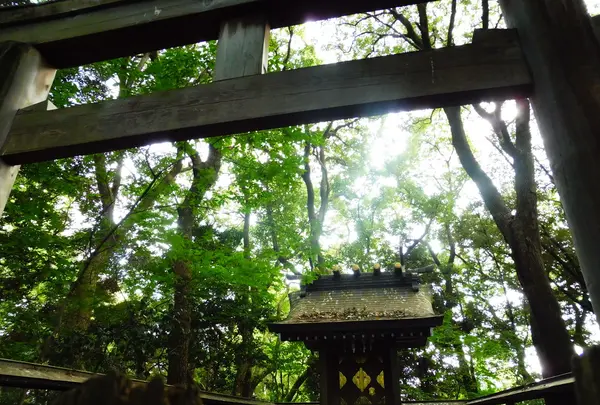 真清田神社の写真・動画_image_212213