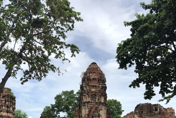 Wat Mahathat（ワット・マハタート）の写真・動画_image_212434