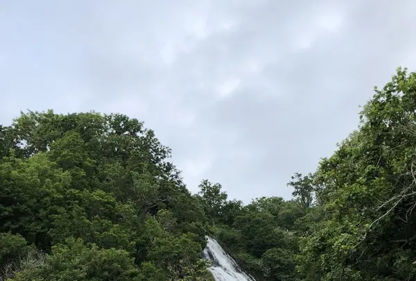 オシンコシンの滝の写真・動画_image_212775