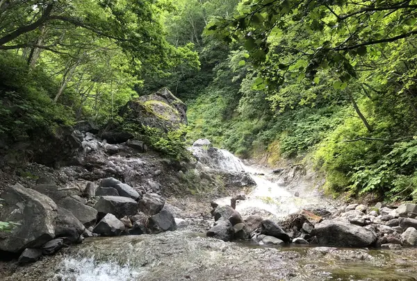 カムイワッカの湯の滝の写真・動画_image_213261