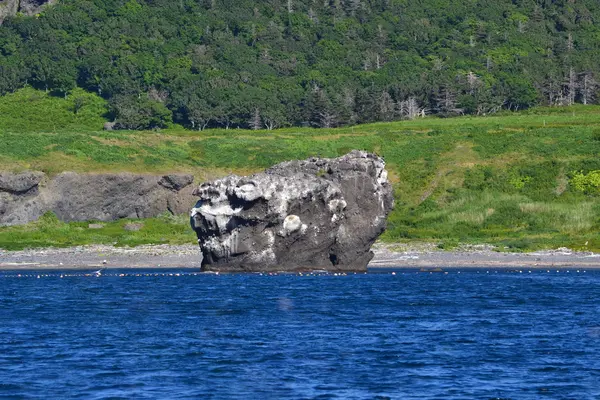 ゴジラ 岩 観光
