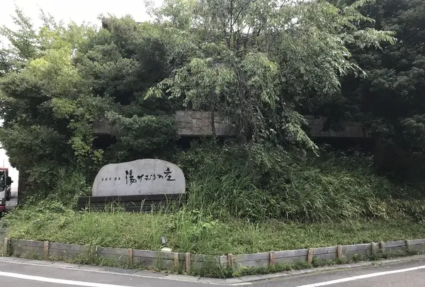 宮前平源泉　湯けむりの庄の写真・動画_image_214219