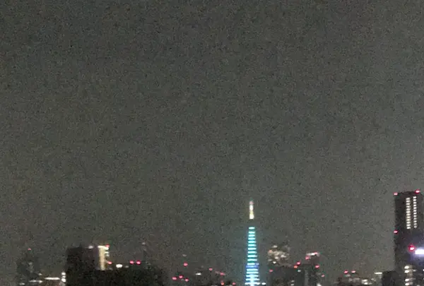 ザ・プリンス さくらタワー東京の写真・動画_image_214405