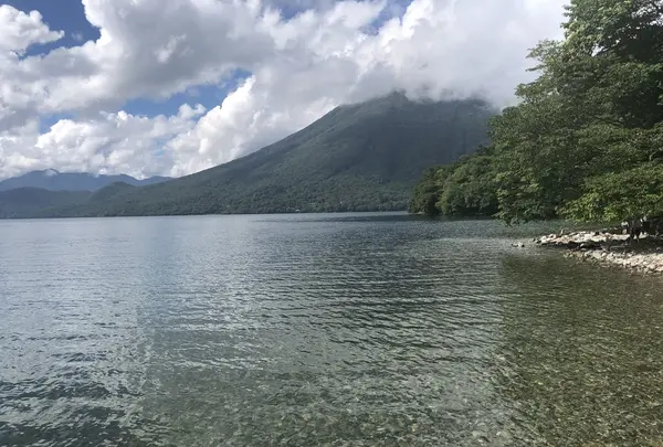 イタリア大使館別荘記念公園の写真・動画_image_214562