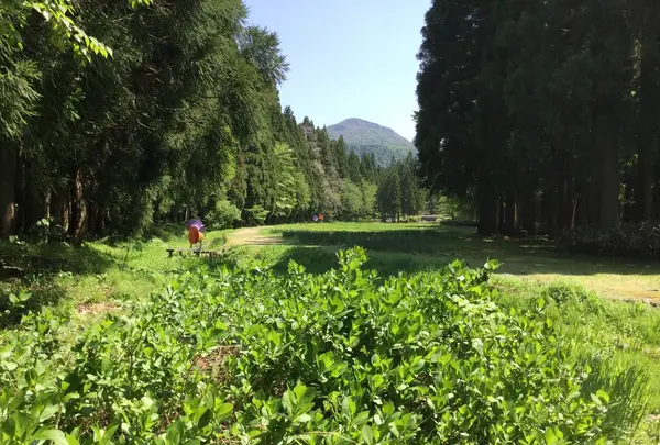 立山博物館まんだら遊苑の写真・動画_image_214805