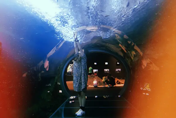 上越市立水族博物館 うみがたり（旧：上越市立水族博物館）の写真・動画_image_215650