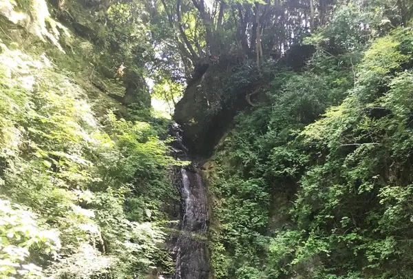 金神の滝の写真・動画_image_216352