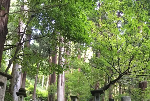 宝珠山立石寺の写真・動画_image_219128