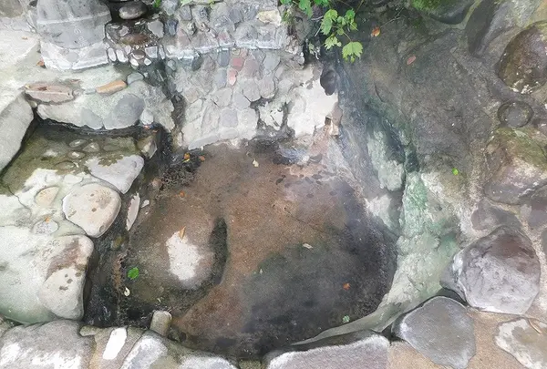 タヌキの湯の写真・動画_image_219352