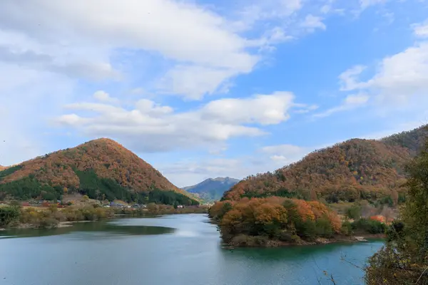 大野ダムの写真・動画_image_221855