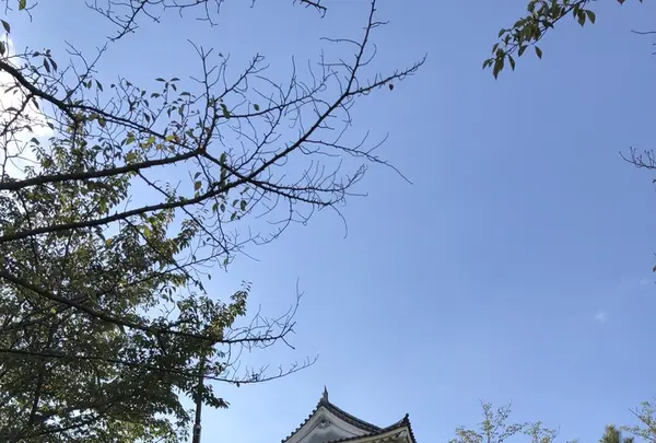 丸亀城の写真・動画_image_224502