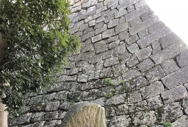 丸亀城の写真・動画_image_224507