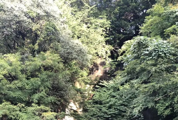 濃溝の滝の写真・動画_image_226137