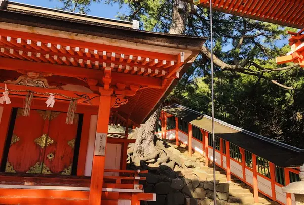 日御碕神社の写真・動画_image_228290