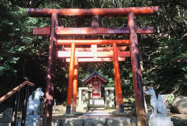 日御碕神社の写真・動画_image_228293