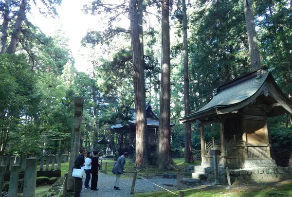 平泉寺白山神社の写真・動画_image_228625