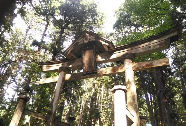 平泉寺白山神社の写真・動画_image_228628