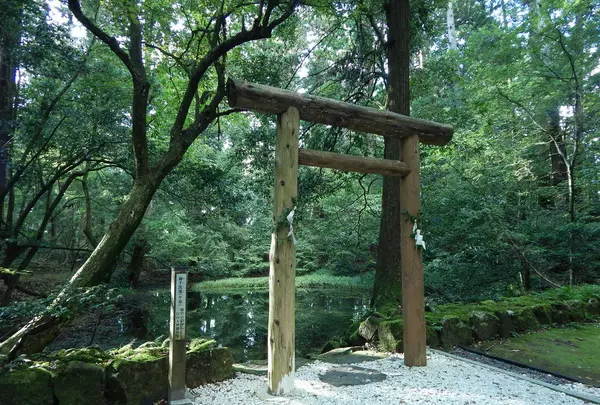 平泉寺白山神社の写真・動画_image_228629