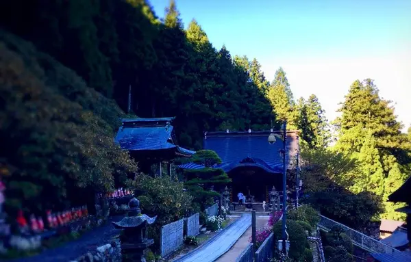 横峰寺の写真・動画_image_229126
