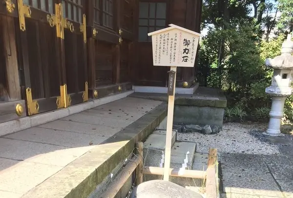 千葉神社の写真・動画_image_231150