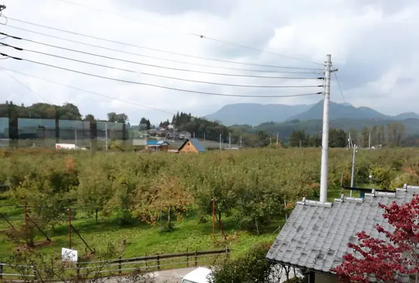 原田農園の写真・動画_image_233854