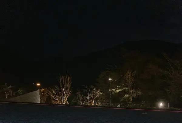 箱根・芦ノ湖 はなをりの写真・動画_image_237844