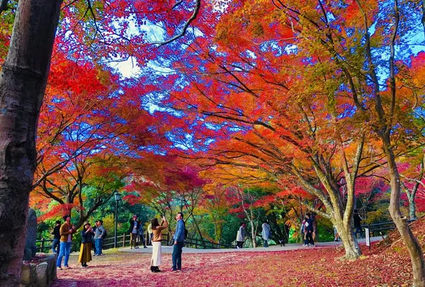 尾関山公園の写真・動画_image_238549