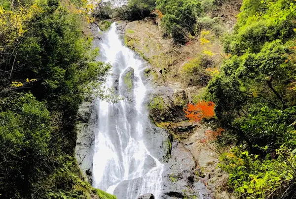 神庭の滝の写真・動画_image_239578