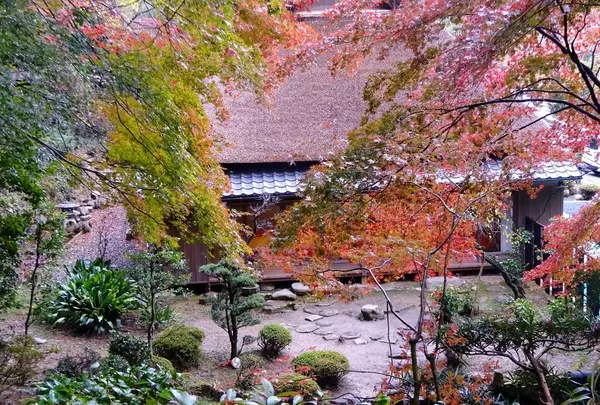 胡宮神社の写真・動画_image_240417