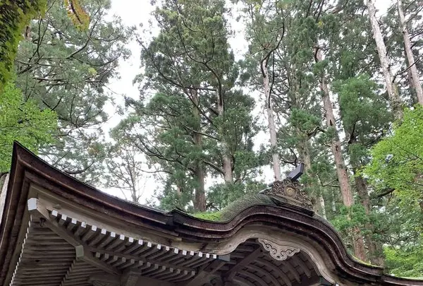 大神山神社奥宮の写真・動画_image_240464