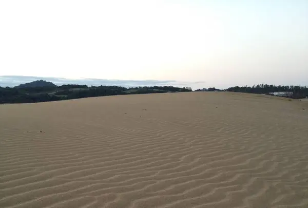 鳥取砂丘の写真・動画_image_240475