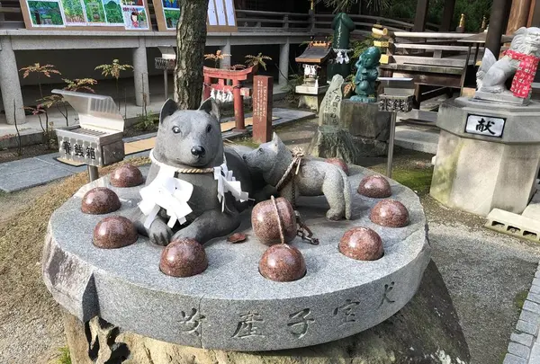 田村神社の写真・動画_image_241150
