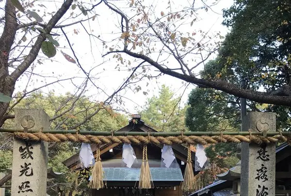 新宮神社の写真・動画_image_241885