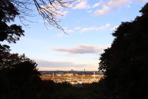 京王百草園の写真・動画_image_241968