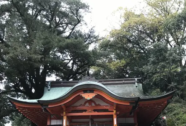 若宮稲荷神社の写真・動画_image_243612