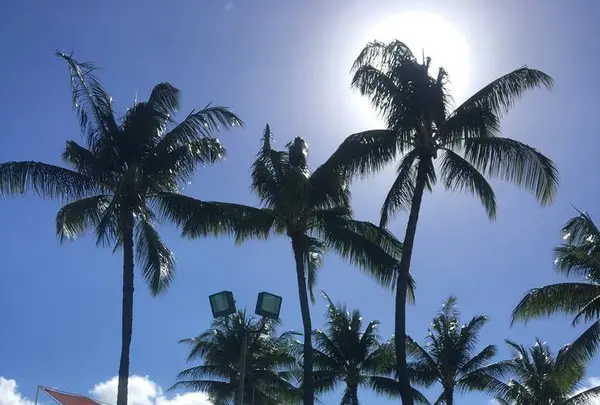 Wet'n'Wild Hawaiiの写真・動画_image_245083
