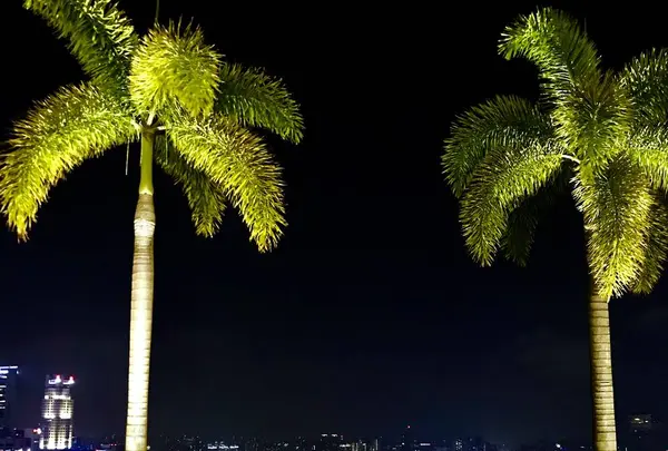Marina Bay Sands Singapore（マリーナベイ・サンズ）の写真・動画_image_245518