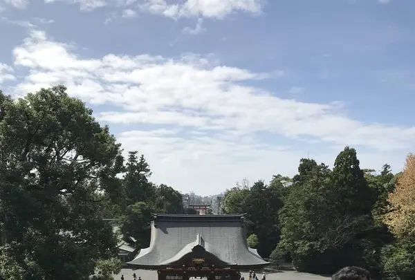 鶴岡八幡宮の写真・動画_image_246763