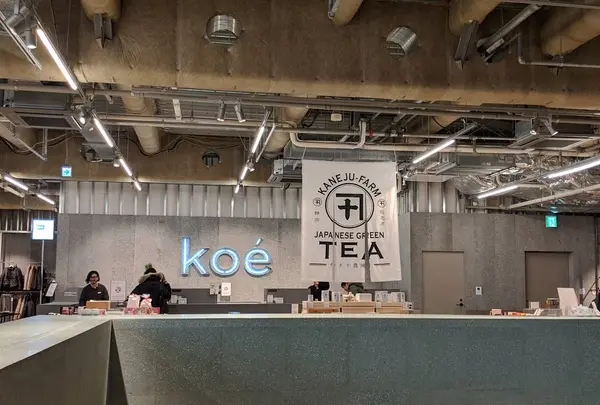 【閉業】koe’ lobby （コエロビー）の写真・動画_image_246881
