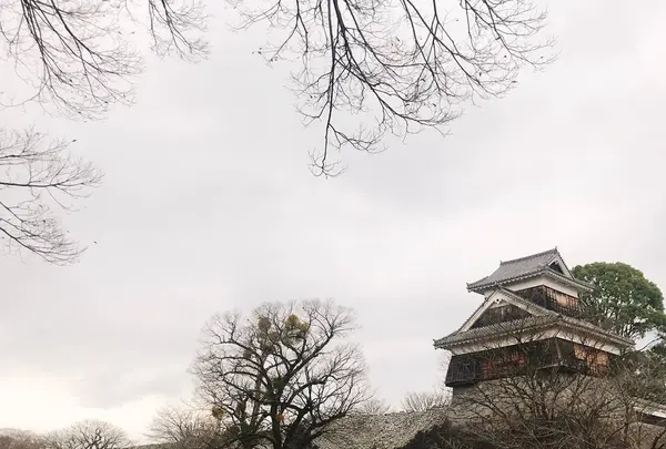 熊本城の写真・動画_image_247840