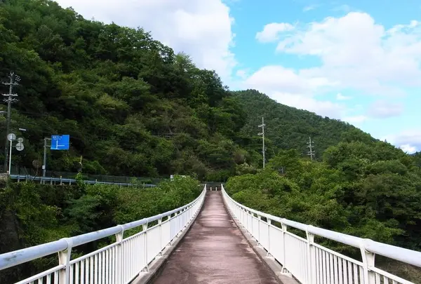 音海側道橋の写真・動画_image_248759